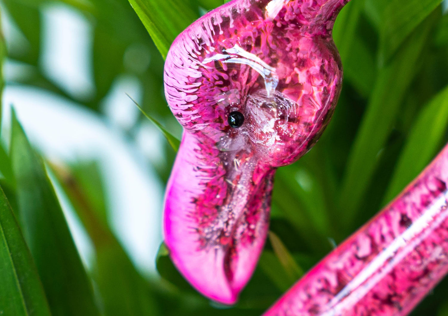 Flamingo Plant Pal