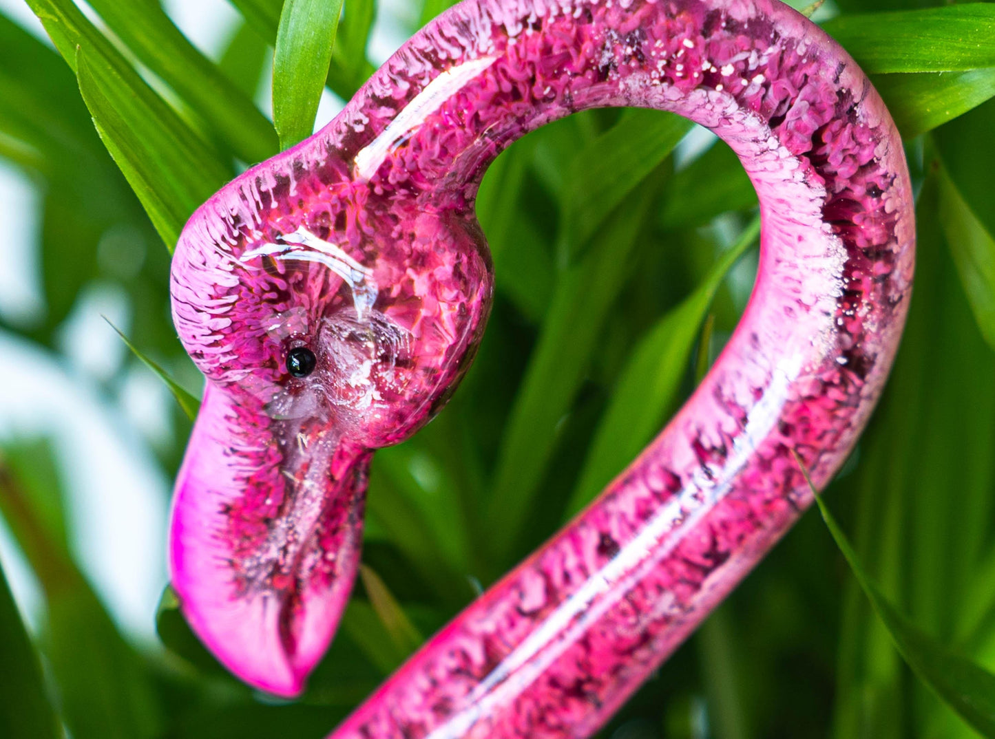 Flamingo Plant Pal