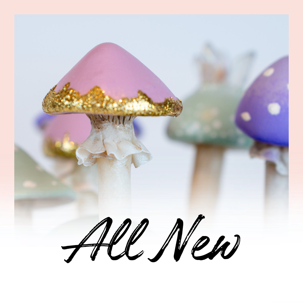 All New!