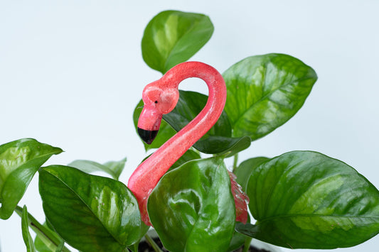 Flamingo Plant Pal