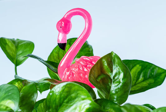 Flamingo Plant Pal